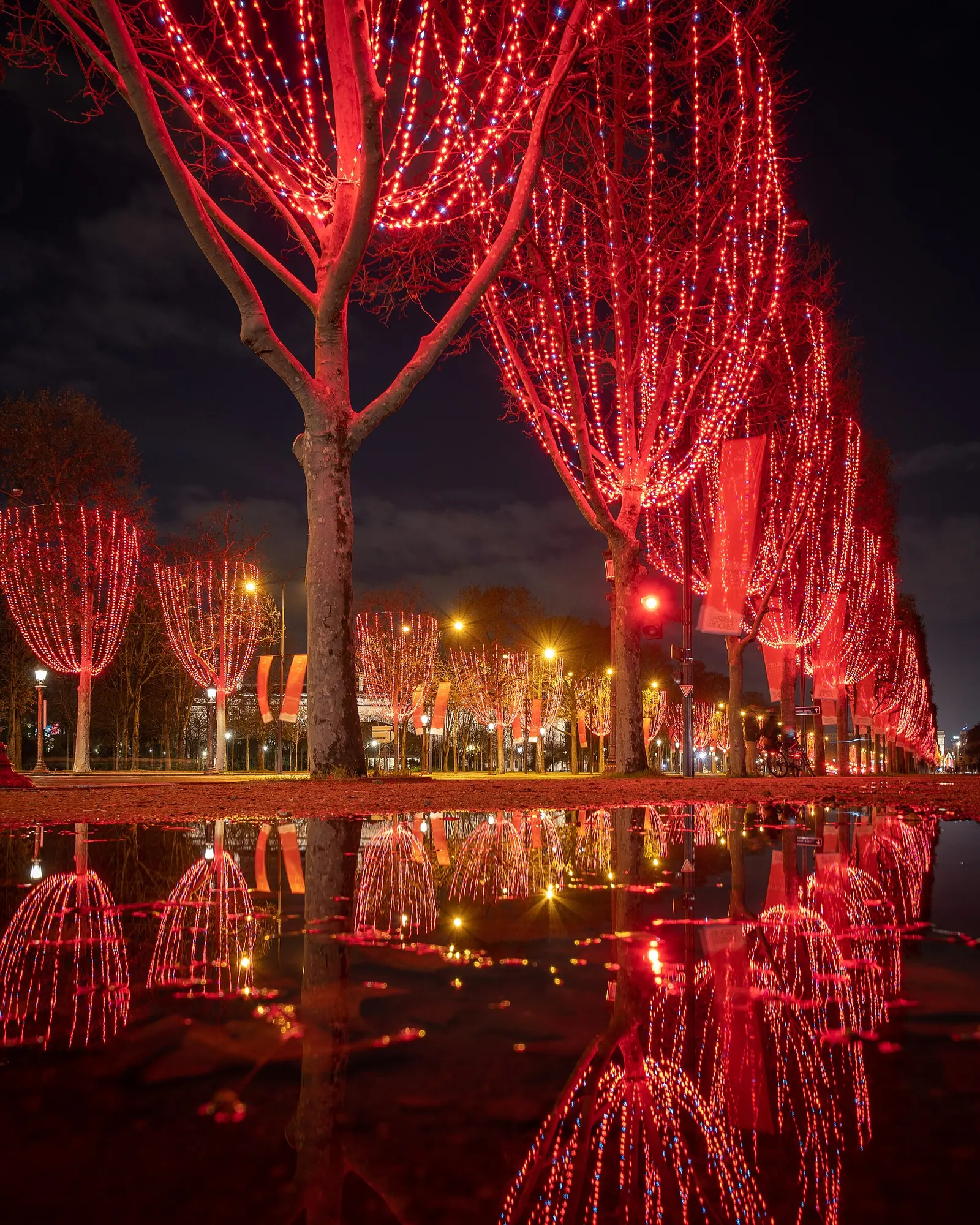 How Many Holiday Light Strings Can One Outlet Safely Handle?