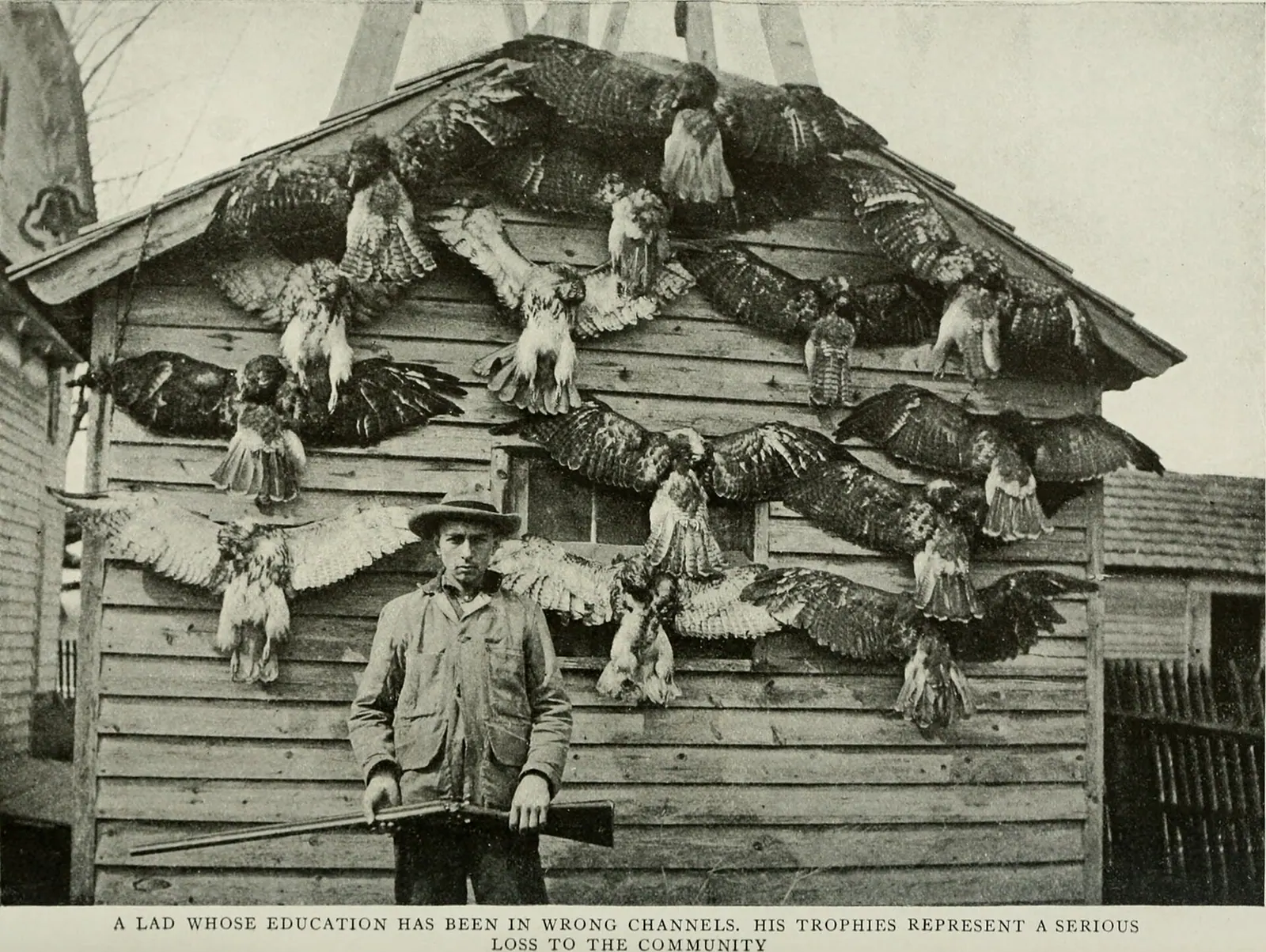 Rodents and Rural Wiring: Protecting Your Home from Chewed Wires